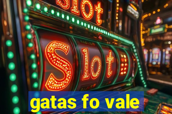 gatas fo vale